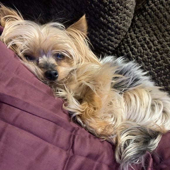 Meet your Posher, Christopher - Picture 4 of 10